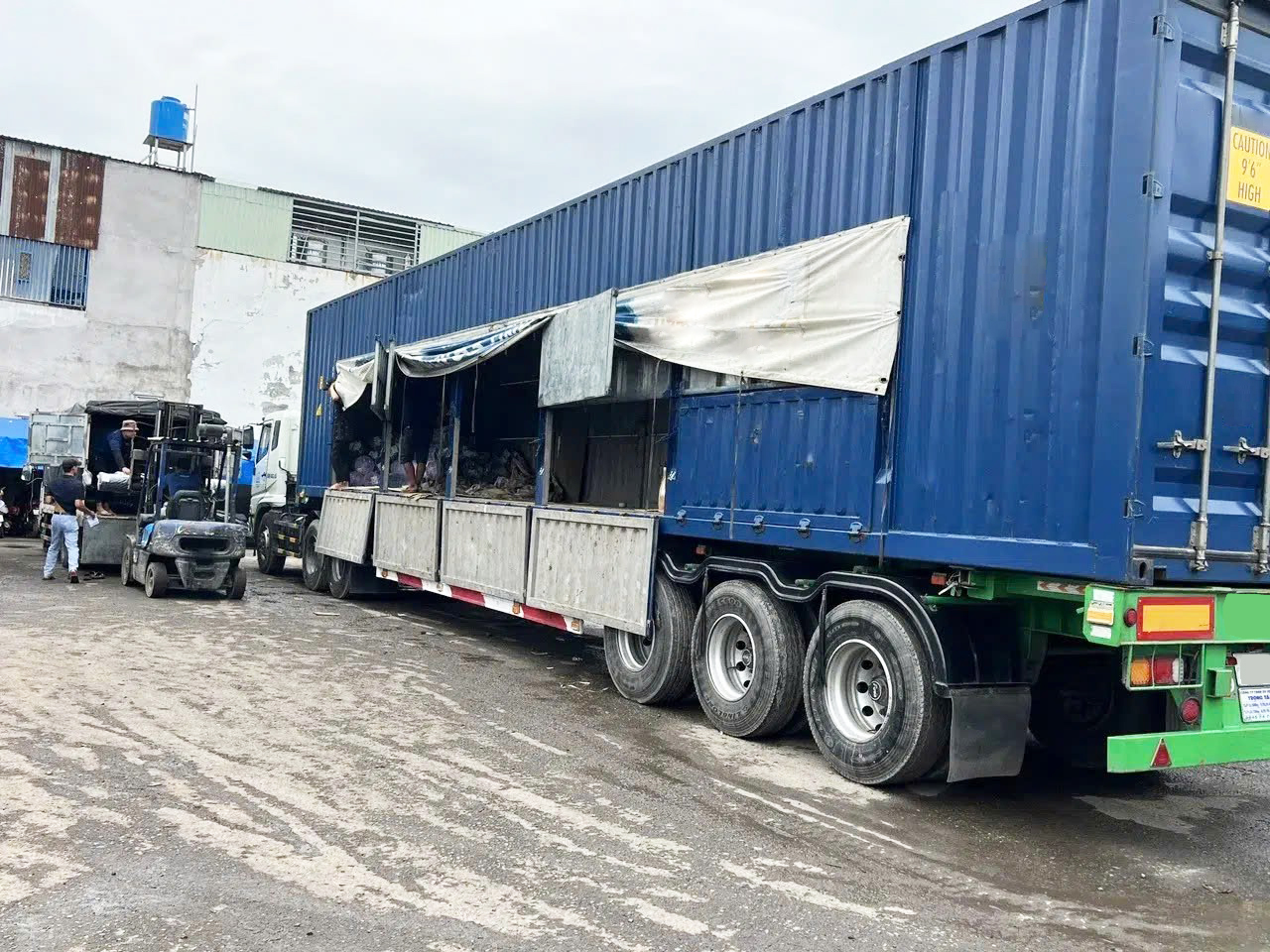 cho thuê xe container