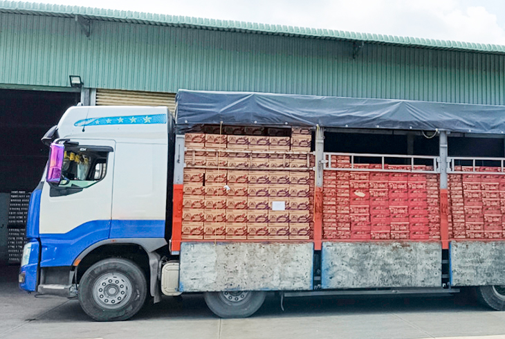 dịch vụ vận chuyển hàng hoá